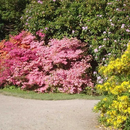 Am Wasserturm - 1 Og - 2 Schlafzimmer גראל-מוריץ
