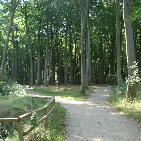 Am Wasserturm - 1 Og - 2 Schlafzimmer דירה *