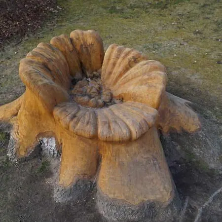 Am Wasserturm - 1 Og - 2 Schlafzimmer דירה *