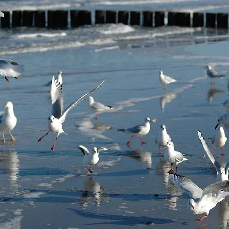 דירה Am Wasserturm - 1 Og - 2 Schlafzimmer *